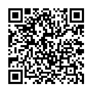 我知道圣塔莫尼卡附近有一家店的煎绿茶口味非常好二维码生成