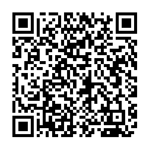 我知道堡主大人进来是为了曼殊沙华因缘万果宝树上面今天新长出来的两颗果实二维码生成