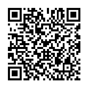 我知道床上躺的这个人就是与阿花婆婆里应外合的那位高人前辈二维码生成