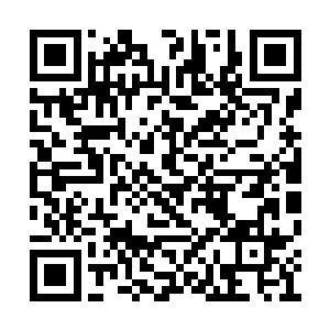 我知道我终有一天也会和他们一样出去执行任务二维码生成