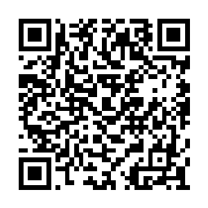 我知道辰州符咒学院里面大都是达官贵人的子弟二维码生成