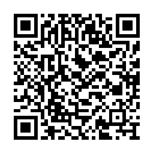 我确实命人将他们的饭菜里加入了你给的千睡蛊二维码生成