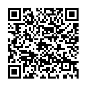 我神识海中的轮回大道和因果大道诡异地波动起来二维码生成