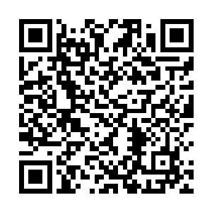 我神隐门也不是吃素的一直以来血神宫都没有能够得逞二维码生成