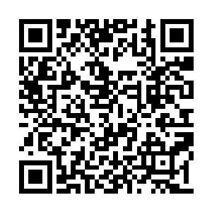 我空军在东南沿海一共部署了五个联队的轰炸机二维码生成