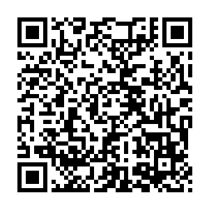 我突然发现自己脑袋里多了很多事情…我知道我如果继续读书的话二维码生成