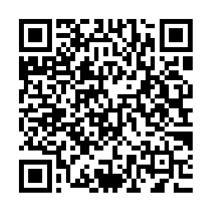 我突然想到了昨天的时候萧子卓一掌便能震得不远处的云层颤抖二维码生成
