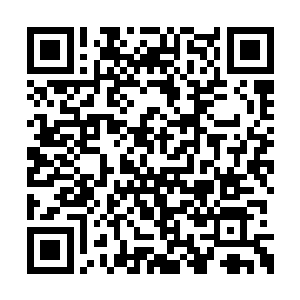 我立刻打电话给家佣把户口本给我送到民政局去二维码生成
