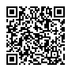 我立即就感觉到有一股力量在心底召唤我体内的祖龙气运二维码生成