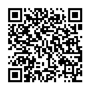 我立即看向了原以为只是普通支撑点的一个个空中花园底部二维码生成