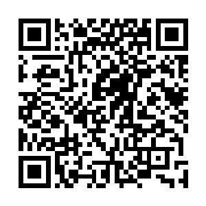 我竟然这么快就触摸到雷霆法则前三重意境融合的门槛了二维码生成