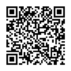 我等可以现在就让孟岳你先代行家主之职……至于孟于和莫悔二维码生成