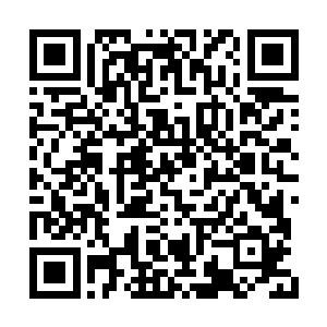 我简单地将探查到的情况传音告诉给了琳遐界主二维码生成