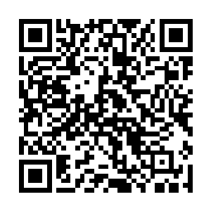 我细心地发现她们很多人的影子中都长着悚人的触手二维码生成