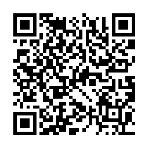 我终于能够明白之前你看我们的时候是什么样子了二维码生成