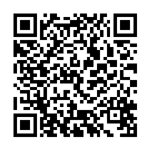 我终是知道天地始出混沌之气中蕴含的力量有多强悍二维码生成