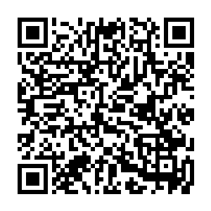 我终是避无可避随在我所处这排人的队伍中朝着骨器店老板所处方向走去二维码生成