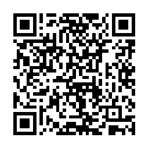 我经过考虑之后觉得在毕业之前出去走走会不留遗憾二维码生成