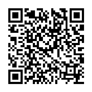 我给你们说说我和林烽在清北大学军训时候的事吧二维码生成