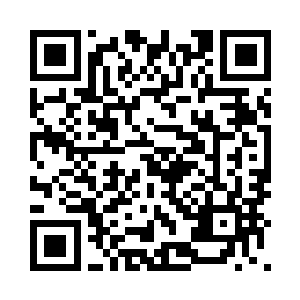我给你搞一个纽约市的飞行许可证二维码生成