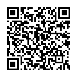 我给你请的十几名特战队退役下来的保镖怎么样二维码生成