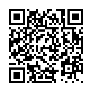 我给弟弟们准备了不少的礼物和玩具二维码生成