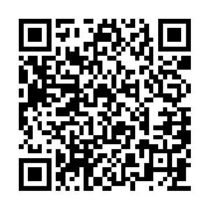 我给飞飞施展的时间缠绕一小时后便会自动消除二维码生成