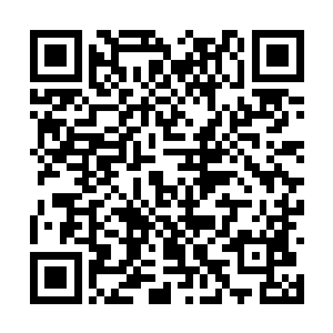 我绝不以九天圣宫的名义来逼迫你们服从我的命令二维码生成
