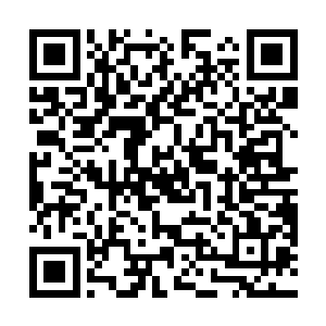我绝对不打击报复……但是……如果你们的行动失败了二维码生成