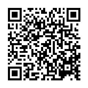 我老人家也正是吸收了那些灵气的一部分才能这么快恢复二维码生成