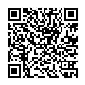 我老大真正不需要这样的历练了…只需要给他时间二维码生成