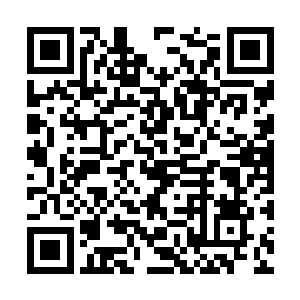 我背后的异界大人那是可以和古玉仙王相比的存在二维码生成