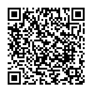 我背着天下最大的黑锅被太夏廷尉府当做十恶不赦之徒通缉这么多年二维码生成