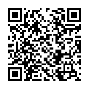 我能在多长的时间内将这些法则全部感悟到神王境二维码生成