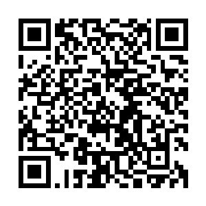 我能够感觉到乐家仆人无数双目光都朝着我们的身上看了过来二维码生成