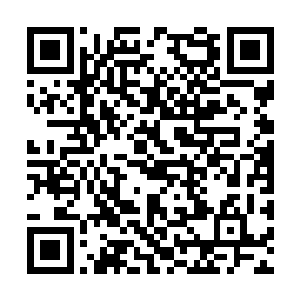 我能够清晰的看到朵朵那对煞目犹如两柄利刃一般二维码生成