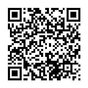 我能感觉得出他对规则的领悟上已经取得了不低的成就二维码生成