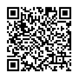 我能清晰的听到身上的骨鳞甲一点点的收回身体之中二维码生成