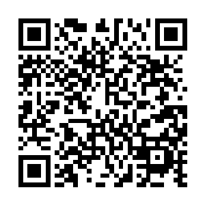 我能理解为民专员面对我们丰州经济发展落后的急切心情二维码生成