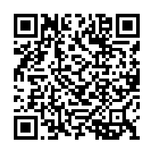 我能给流年她们配备黑甲为什么就不能给你配备二维码生成