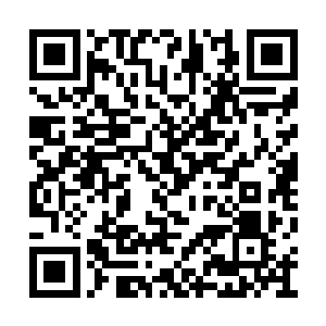 我自幼随师至阳散人在香江外的一处小岛上修行二维码生成