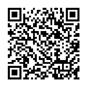 我自问现在有的时候还会在噩梦当中被惊醒过来二维码生成