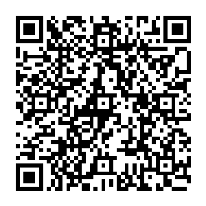 我花了好大的价钱从北边的奸商手里买了九百九十九朵玫瑰花……莎莎为什么不喜欢呢二维码生成