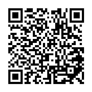 我虽然不知道你凭什么赢得了柳一清的全力相助二维码生成