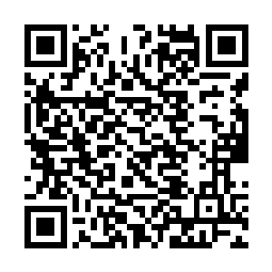 我虽然不知道有多少人因为这笔钱财再次升起了希望二维码生成
