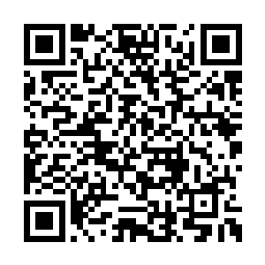 我虽然有把握在这个仙阵之中有着一瞬间的清醒二维码生成