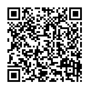 我衷心建议您走的时候可以从广场那个棚子后面采一些大蓟叶子带上二维码生成