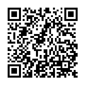 我被离儿拉着一直跑到了酒楼边上一个很隐蔽的角落里二维码生成