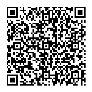 我被那只冰冷的手抓着一直往底下潜越是下潜血海中的压力都越大把我的脏腑都挤压得一阵发疼二维码生成