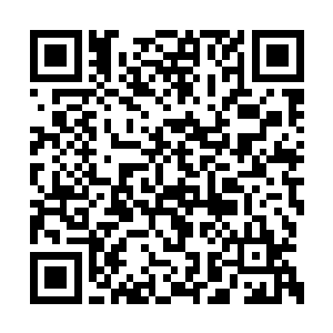 我要一口气向着英法德三国委派三百人的留学生二维码生成